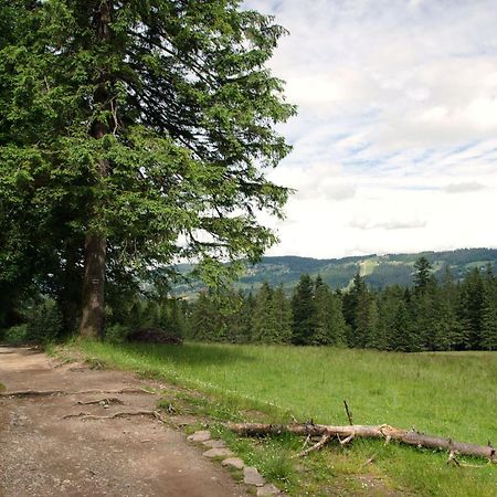 Domek Sekret Закопане Екстер'єр фото